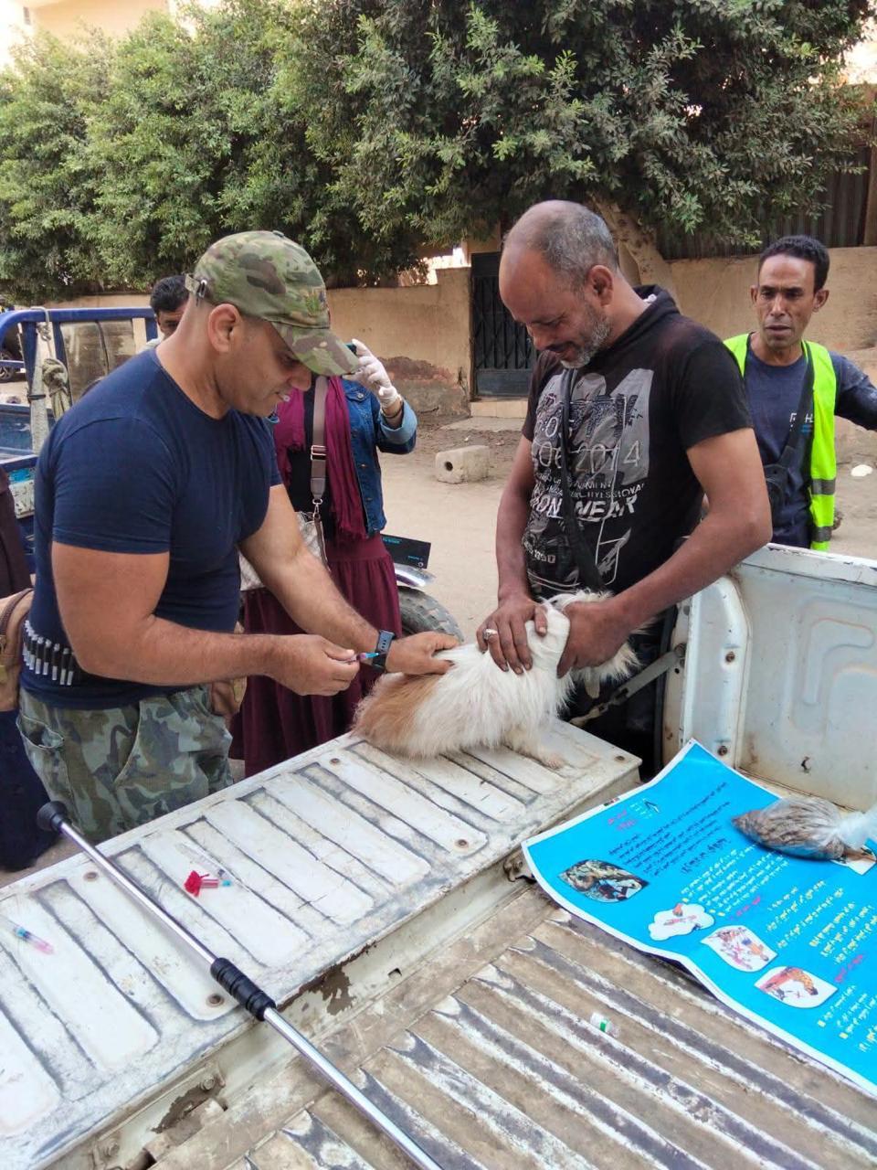 توفير 200 ألف جرعة لقاح ضد السعار بالمجان