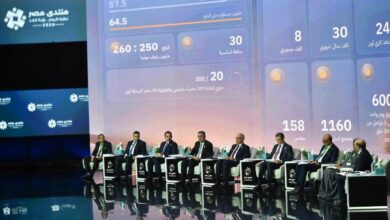 جهاز مستقبل مصر يستهدف نقل الأصول إلى القطاع الخاص بعد تهيئتها