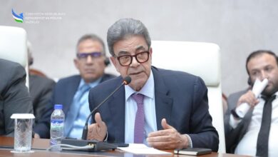 الدكتور مجدي حسن نقيب البيطريين