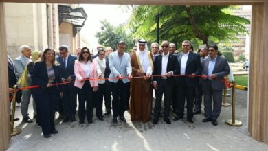النباتات الطبية والعطرية محرك رئيسي لزيادة الصادرات الزراعية